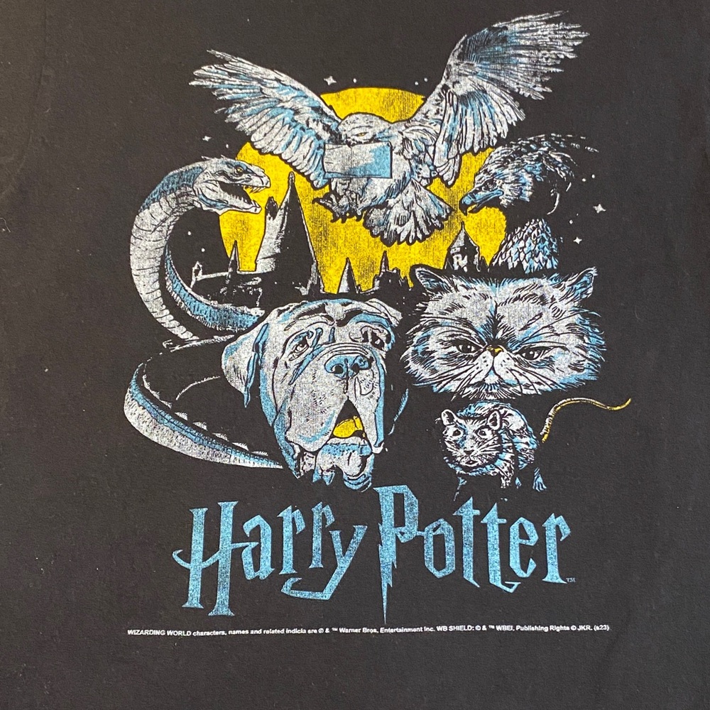 Harry Potter Graphic T-Shirt